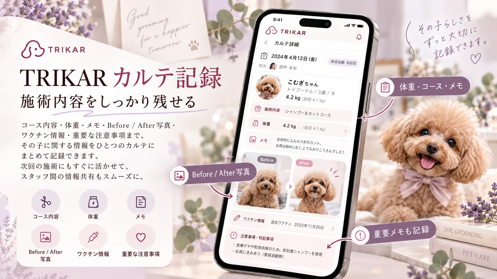犬のカルテとBefore・Afterの施術写真を示す画面イメージ